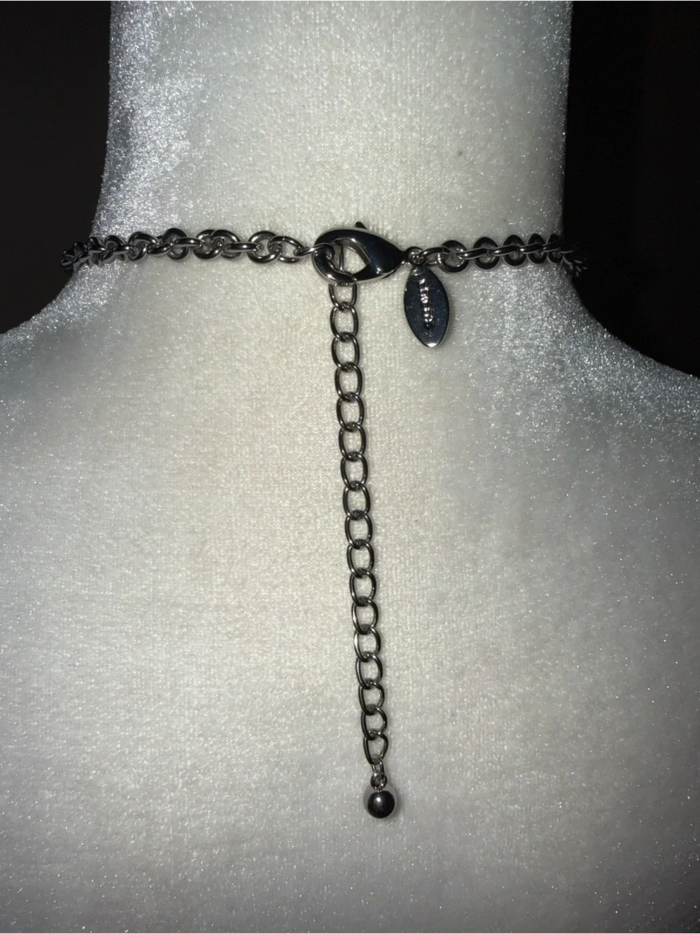 Chico’s Long Statement Necklace